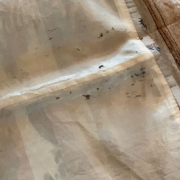 Chinese Sea Dragon long cost - Picture 8 of 11